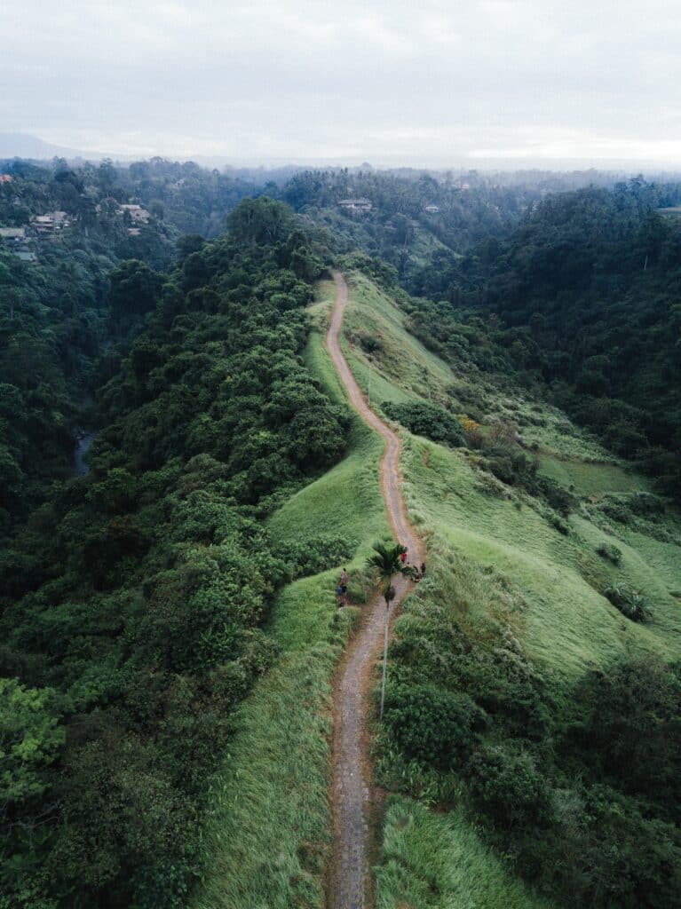 Mountain Trail